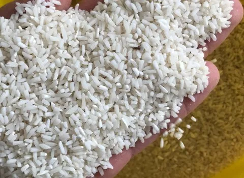 قیمت خرید برنج شکسته هاشمی گیلان + فروش ویژه